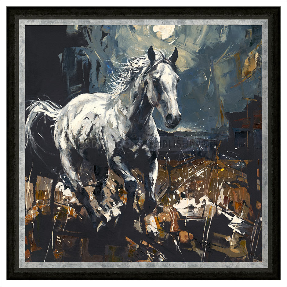Moon Shadow Framed Limited Edition Print by Anthony Dobson