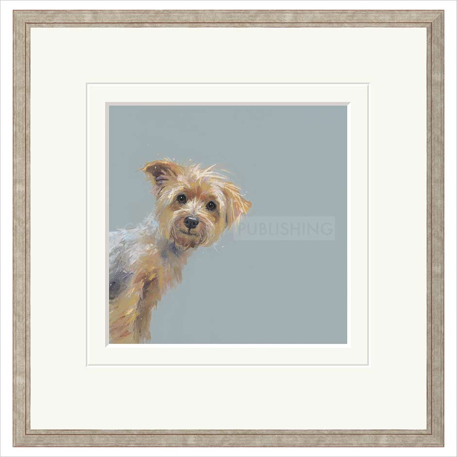 Yorkie Framed (option 1) Limited Edition Print by Nicky Litchfield