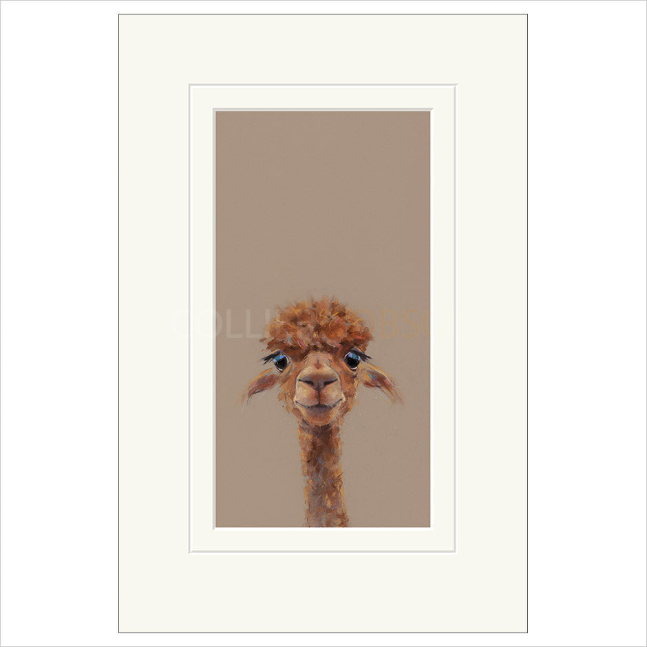 Adele Framed (option 2) Limited Edition Print by Nicky Litchfield