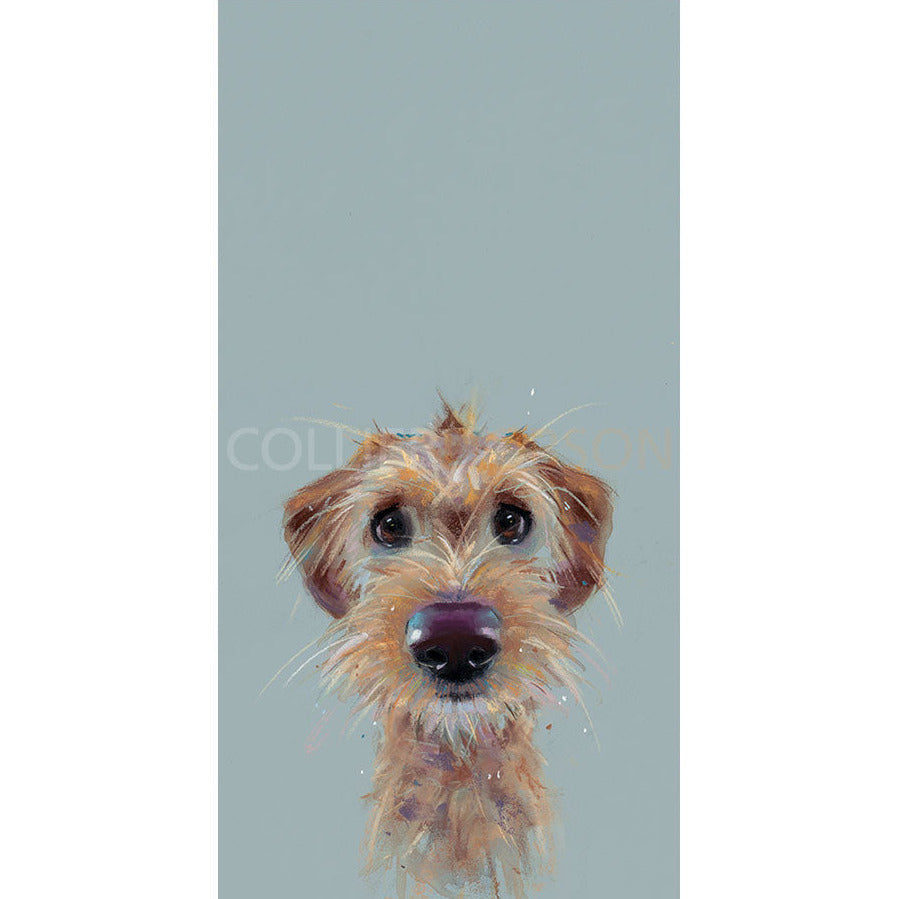 Scruff Limited Edition Print by Nicky Litchfield