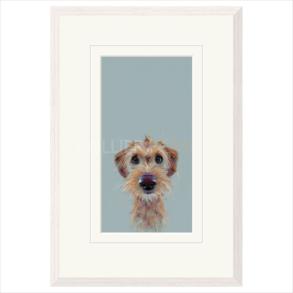 Scruff Framed (option 2) Limited Edition Print by Nicky Litchfield