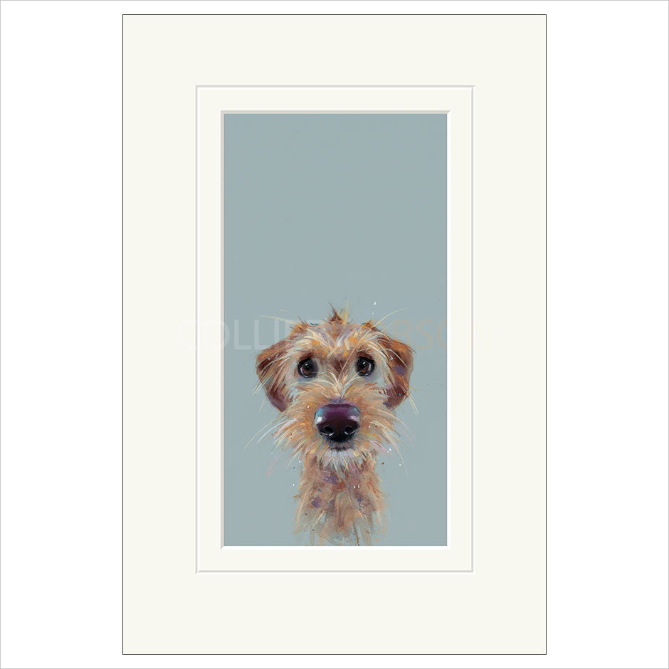 Scruff Mounted Limited Edition Print by Nicky Litchfield