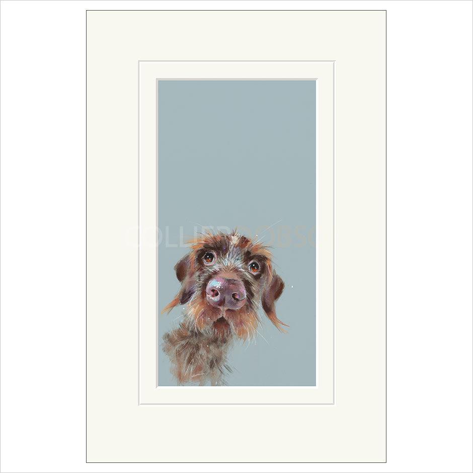 Mischievous Mounted Limited Edition Print by Nicky Litchfield