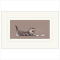 The Feather Mounted Limited Edition Print by Nicky Litchfield