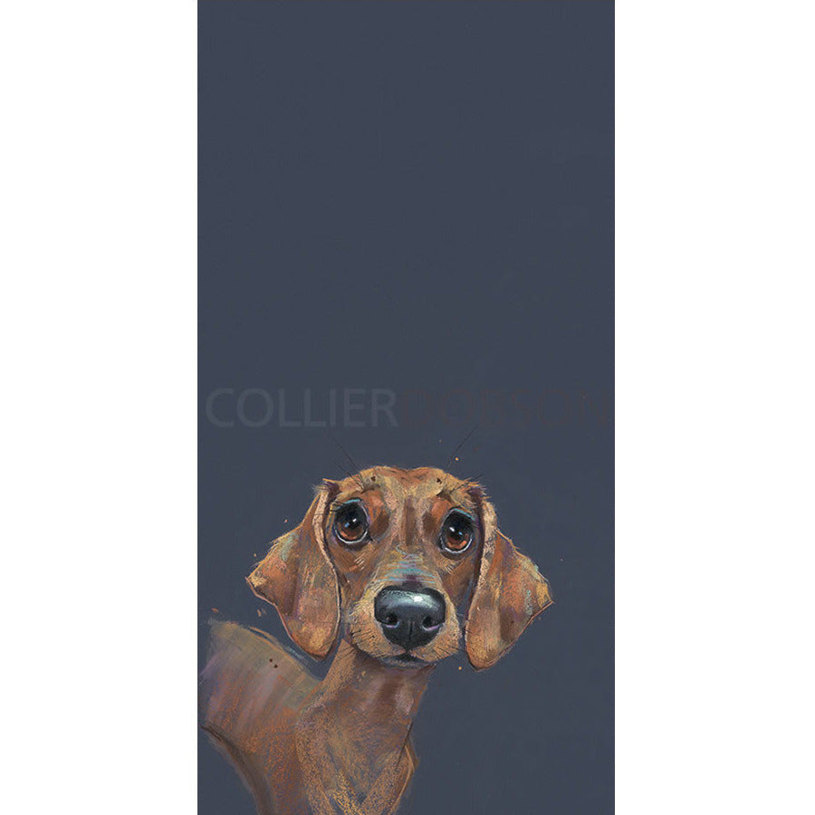 Sausage Limited Edition Print by Nicky Litchfield