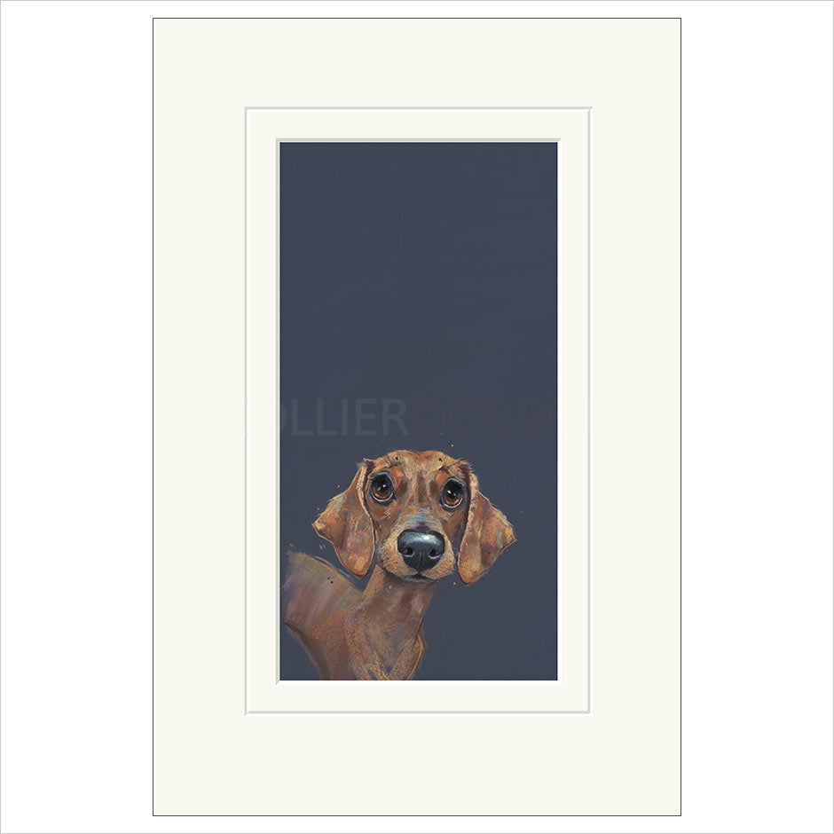 Sausage Mounted Limited Edition Print by Nicky Litchfield