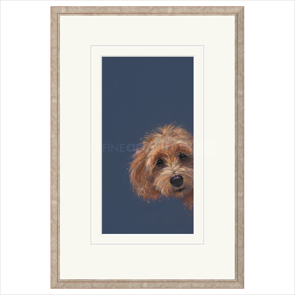 Sneaky Peek Framed (option 1 ) Limited Edition Print by Nicky Litchfield