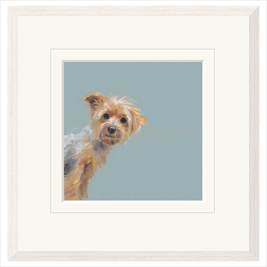 Yorkie Framed (option 2) Limited Edition Print by Nicky Litchfield