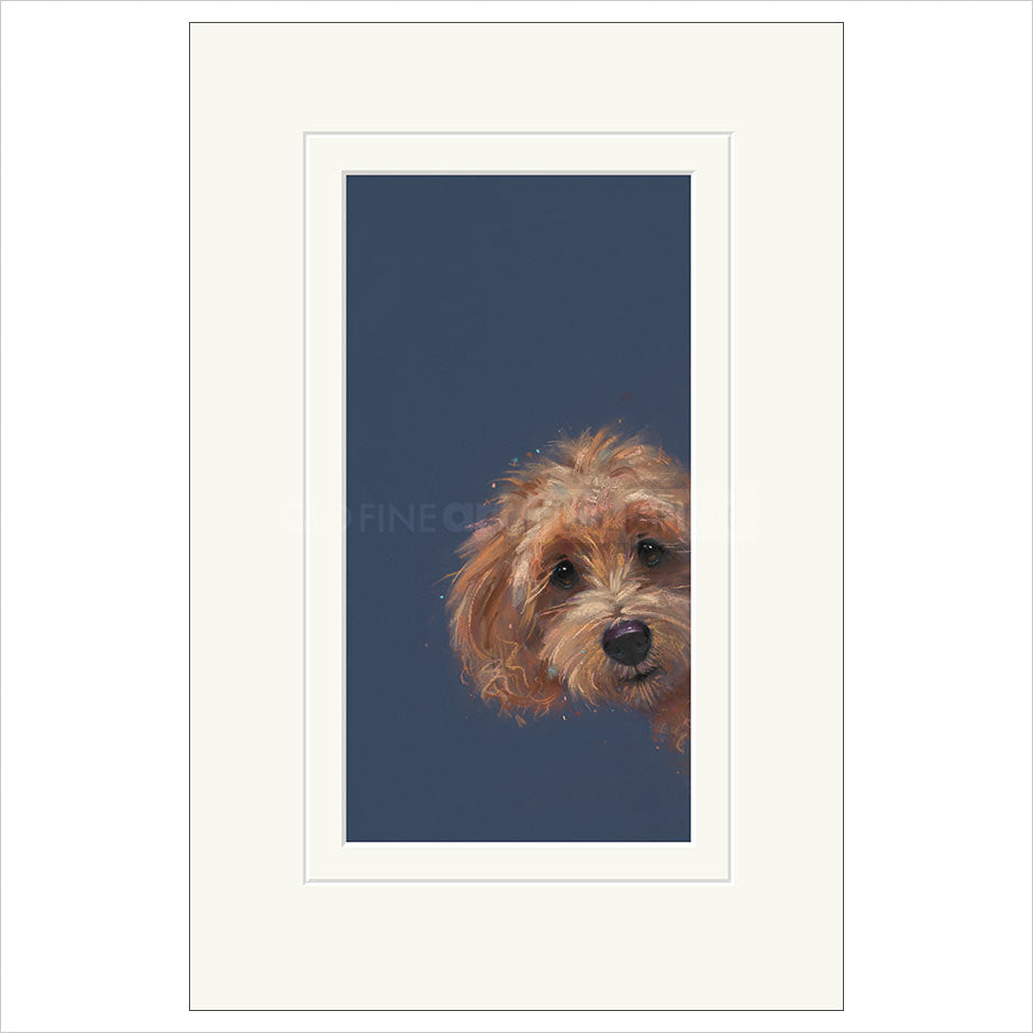 Sneaky Peek Mounted Limited Edition Print by Nicky Litchfield