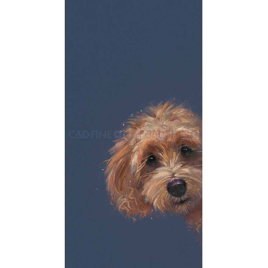 Sneaky Peek Limited Edition Print by Nicky Litchfield