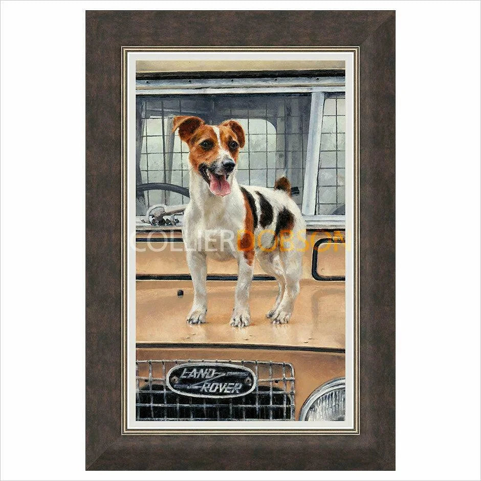 On Safari Framed Limited Edition Print by Anthony Dobson