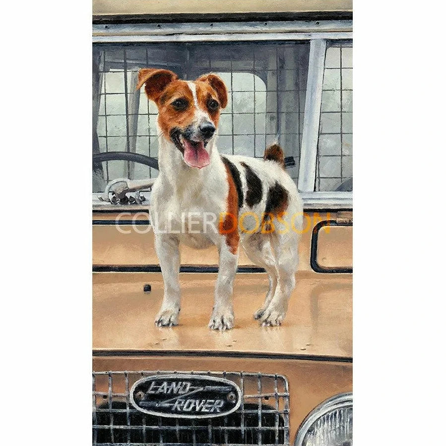 On Safari Limited Edition Print by Anthony Dobson