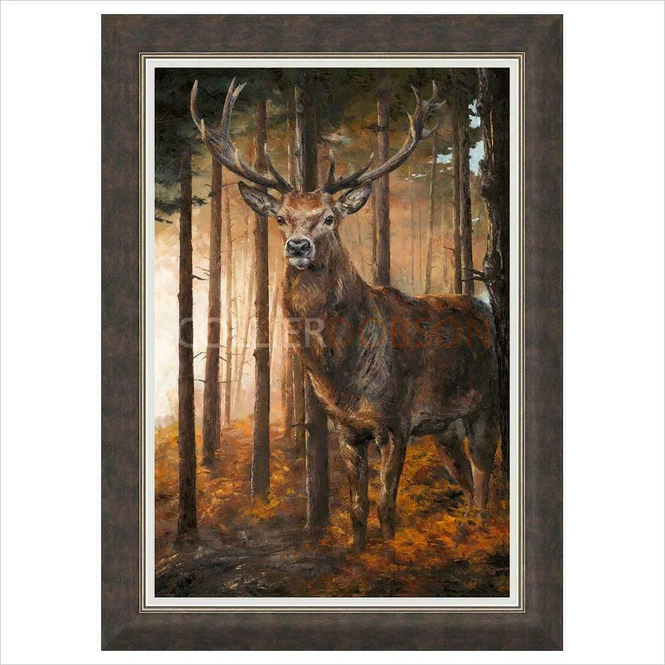 Framed Print