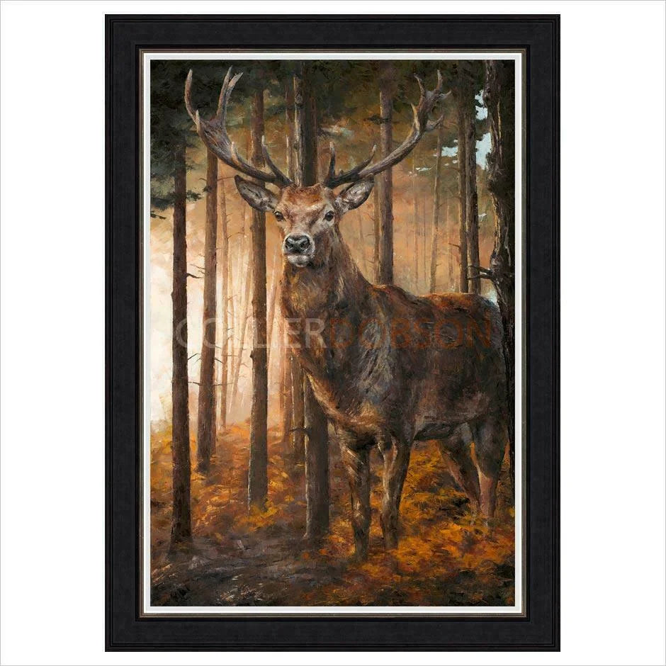 Framed Artist's Proof Print