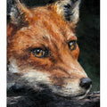 Red Fox Study Limited Edition Print by Anthony Dobson