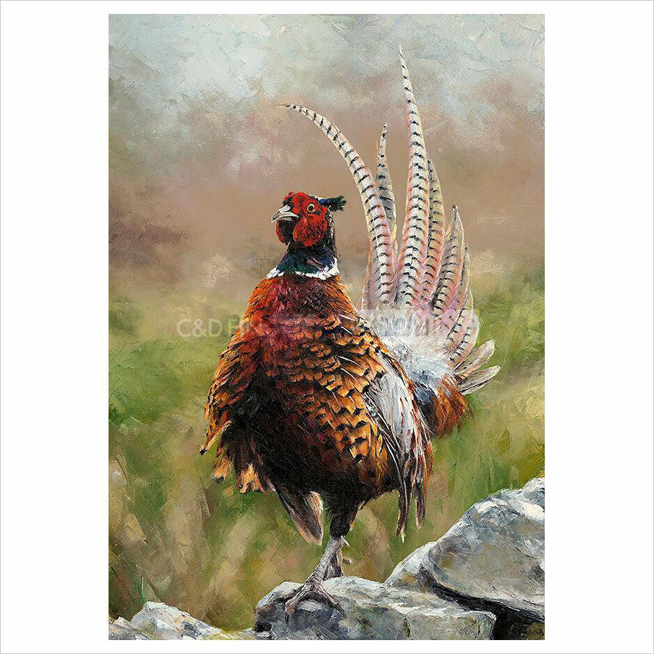 Artist's Proof Print
