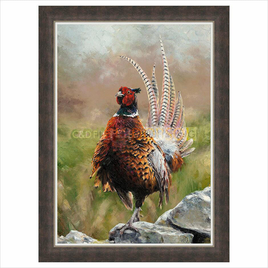 Framed Artist's Proof Print