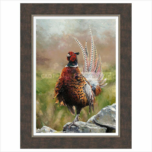Framed Print