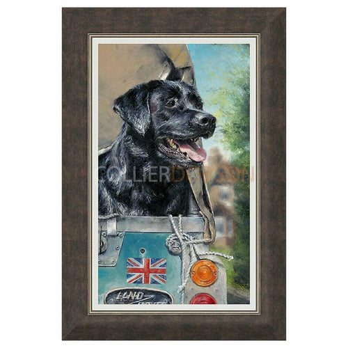 Framed Print
