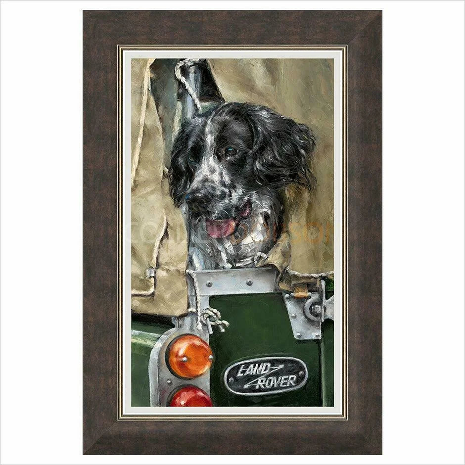 Framed Print