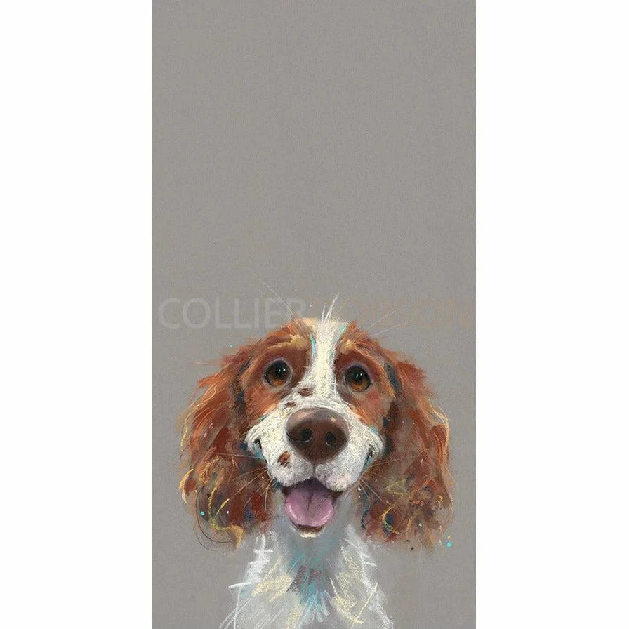 Happy Go Lucky Limited Edition Print by Nicky Litchfield