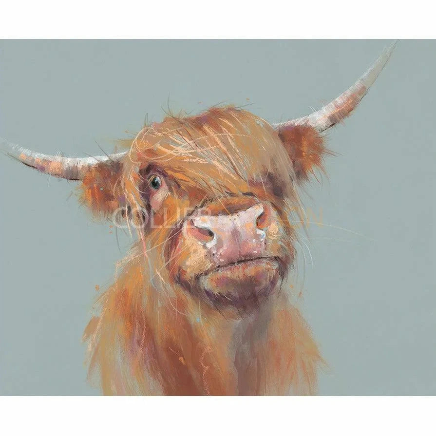 Brodie Limited Edition print by Nicky Litchfield