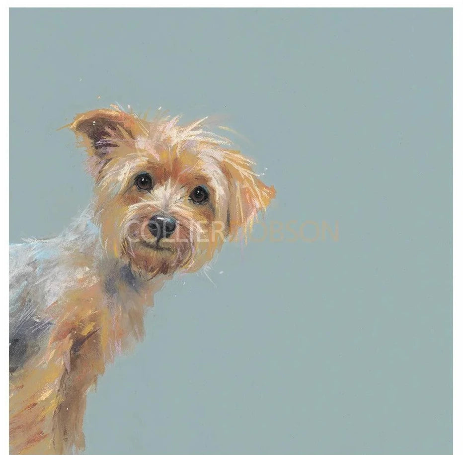 Yorkie Limited Edition Print by Nicky Litchfield