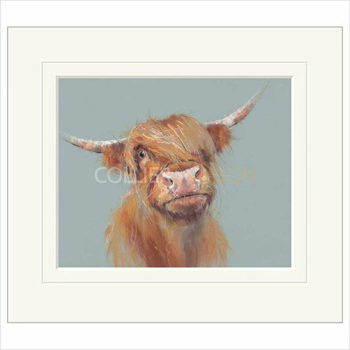 Brodie Mounted Limited Edition print by Nicky Litchfield